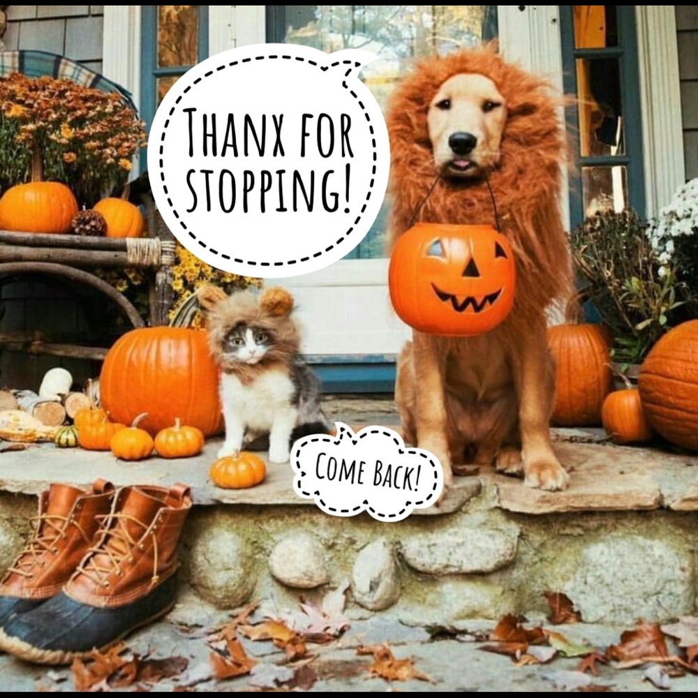 🧡🧡🧡🧡🧡🧡🧡🧡🧡🧡